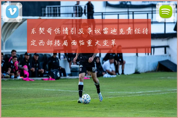 东契奇伤情引发争议雷迪克责任待定西部格局面临重大变革