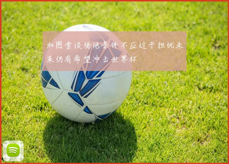 加图索谈场地条件不应过于担忧未来仍有希望冲击世界杯